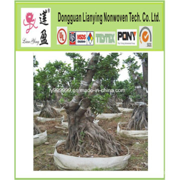 Ambiente-Friendly Tree-Planting sacos, saco de plantação Fabricante